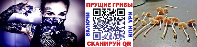 Псилоцибиновые грибы Magic Shrooms Чулым