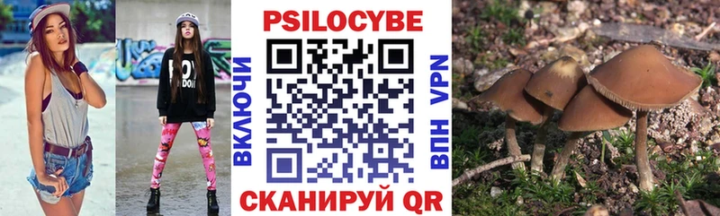Галлюциногенные грибы ЛСД  Купить закладки  Чулым 